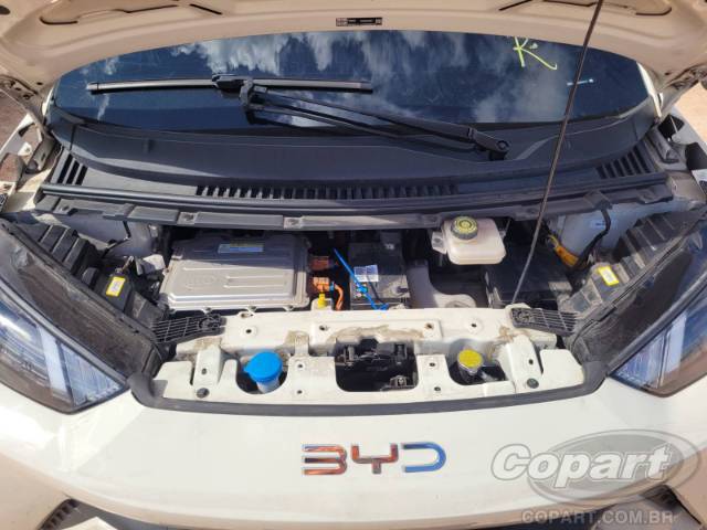 2025 BYD DOLPHIN MINI 