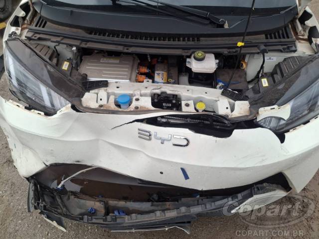 2025 BYD DOLPHIN MINI 