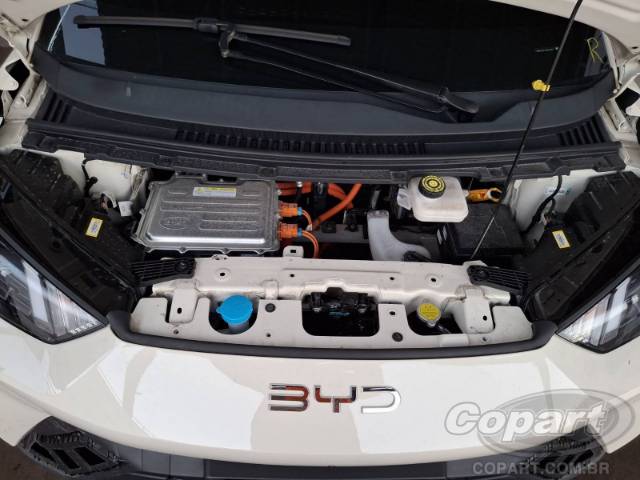 2026 BYD DOLPHIN MINI 