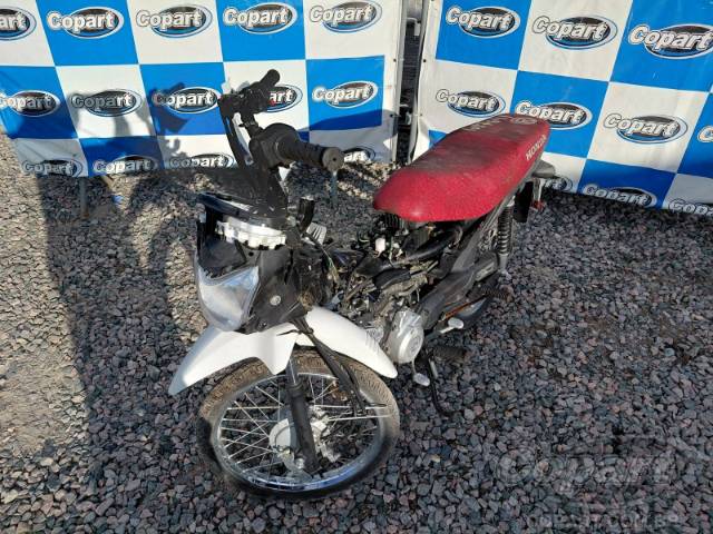 2026 HONDA POP 