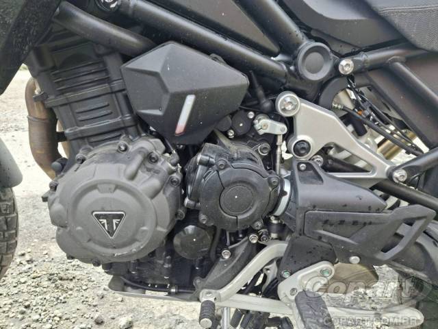 2024 TRIUMPH TIGER 