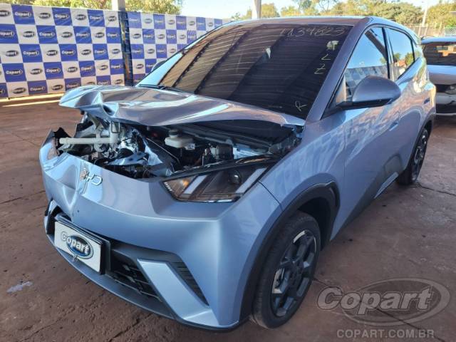 2027 BYD DOLPHIN MINI 