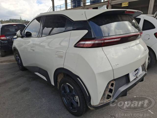2025 BYD DOLPHIN MINI 