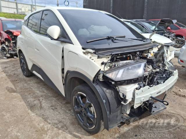 2025 BYD DOLPHIN MINI 