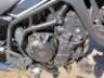 2024 TRIUMPH TIGER 