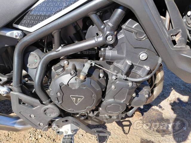 2024 TRIUMPH TIGER 