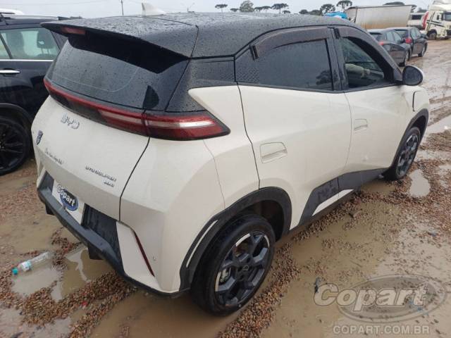 2026 BYD DOLPHIN MINI 