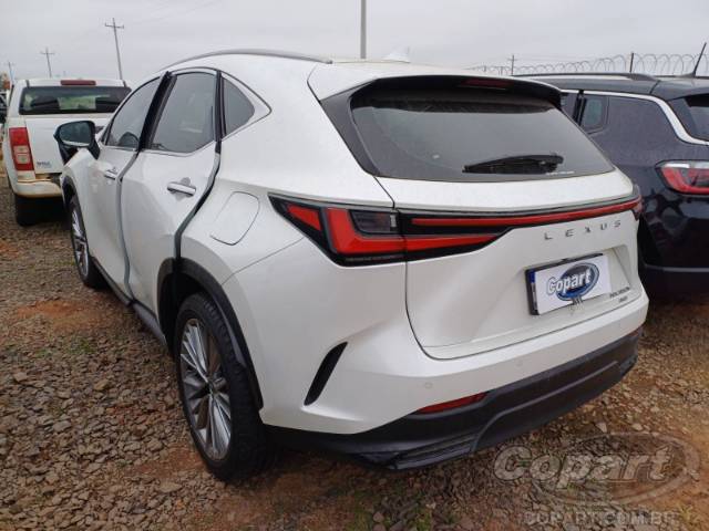 2025 LEXUS NX 