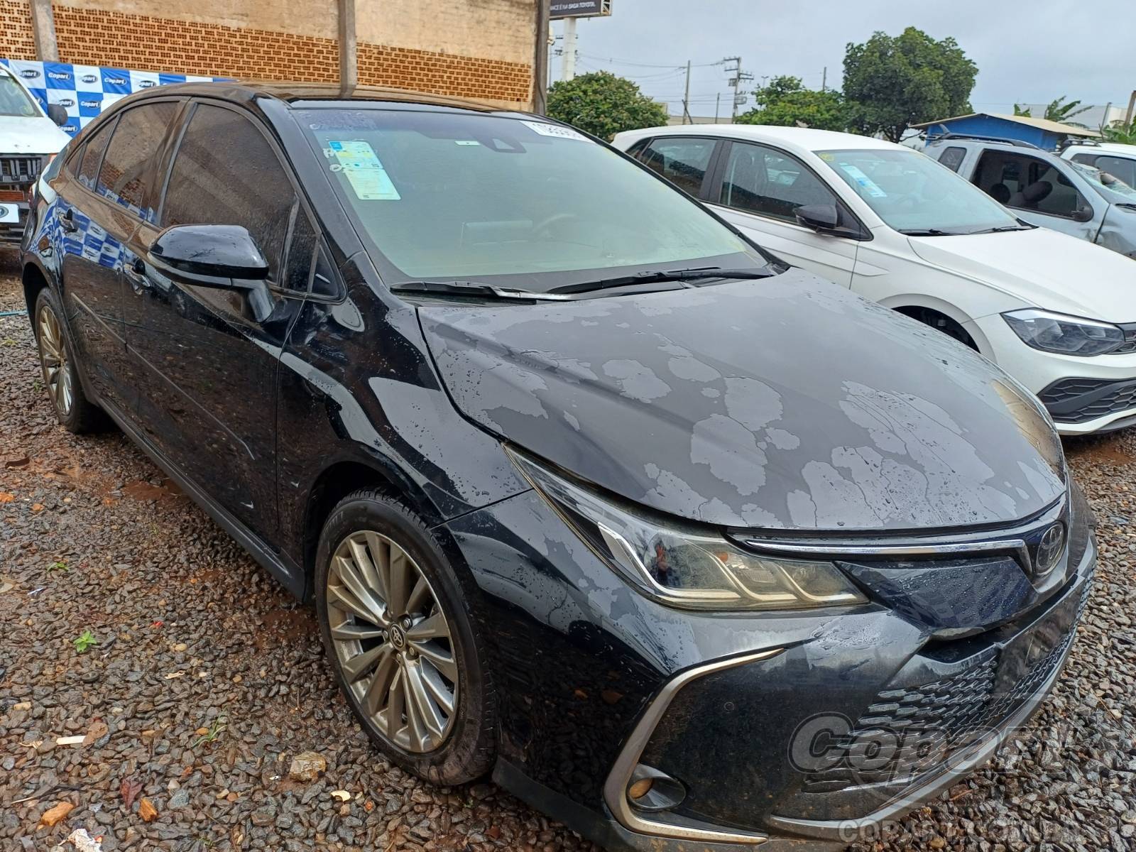 Toyota Corolla 2024