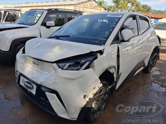 2025 BYD DOLPHIN MINI 