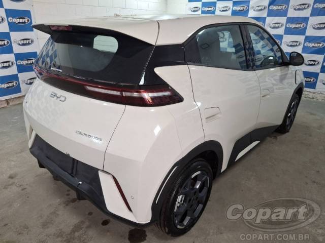 2027 BYD DOLPHIN MINI 