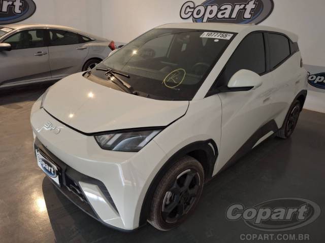 2025 BYD DOLPHIN MINI 