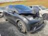 2024 BYD DOLPHIN 