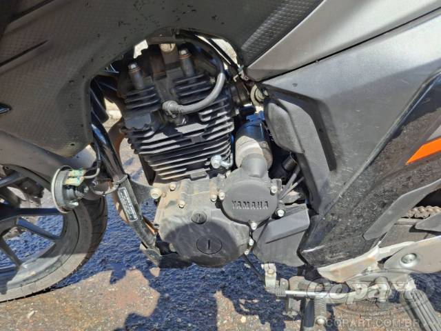 2025 YAMAHA FZ25 FAZER 