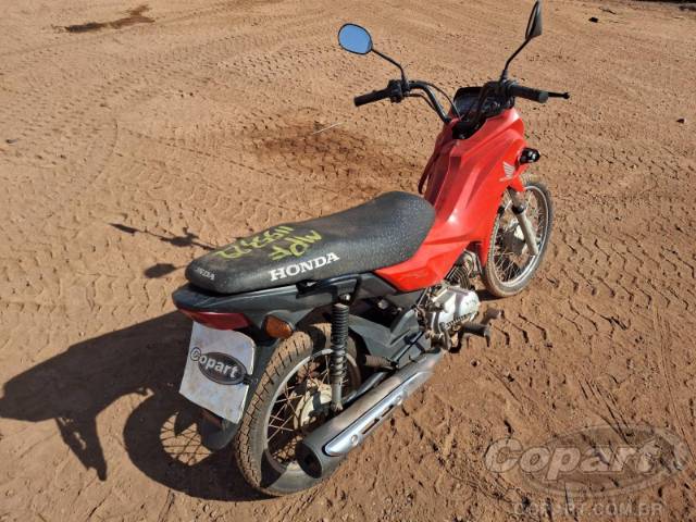 2024 HONDA POP 