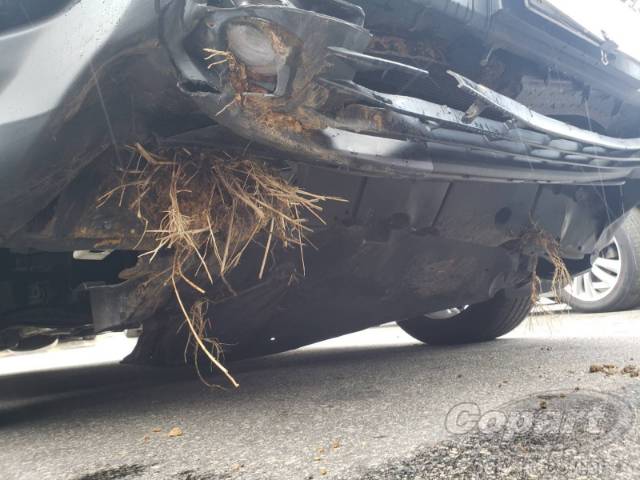 2025 TOYOTA COROLLA CROSS 