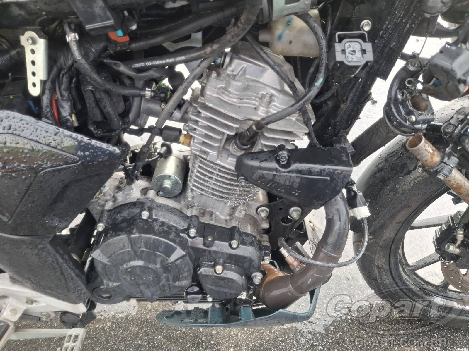 Foto 6 de 10: 2025 YAMAHA FZ15