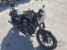 2020 HARLEY-DAVIDSON SPORTSTER 