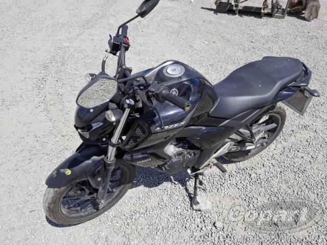2024 YAMAHA FZ15 