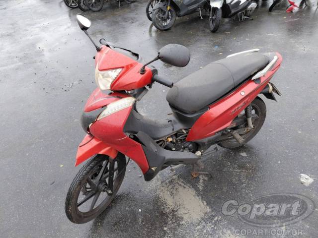 2024 SHINERAY 50Q 