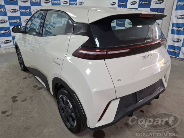 2027 BYD DOLPHIN MINI 