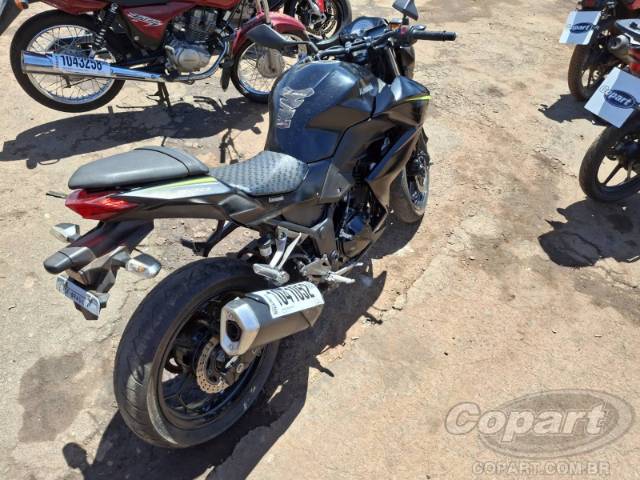 2019 KAWASAKI Z300 