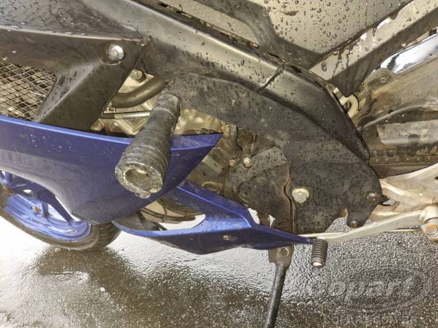 2024 YAMAHA YZF R15 