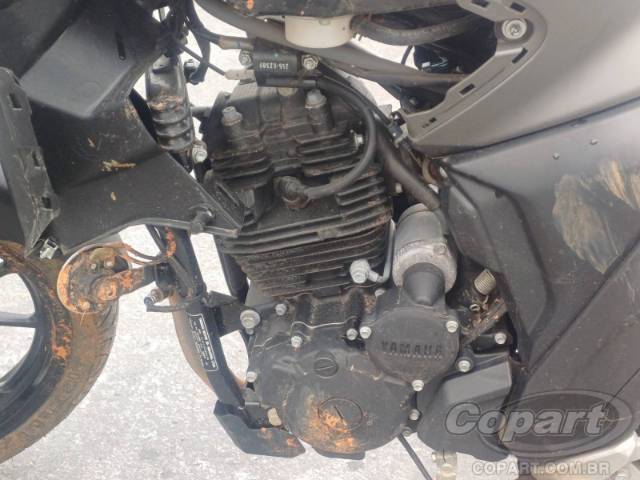 2024 YAMAHA FZ25 FAZER 