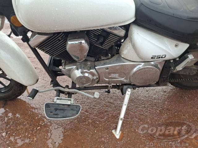 2026 SHINERAY Denver 