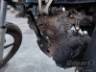 2024 YAMAHA YBR 150 FACTOR 