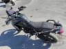 2024 TRIUMPH TIGER 