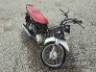 2019 HONDA POP 