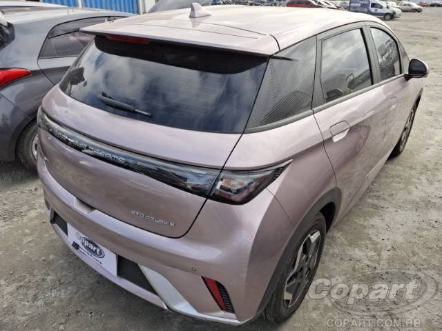 2025 BYD DOLPHIN 