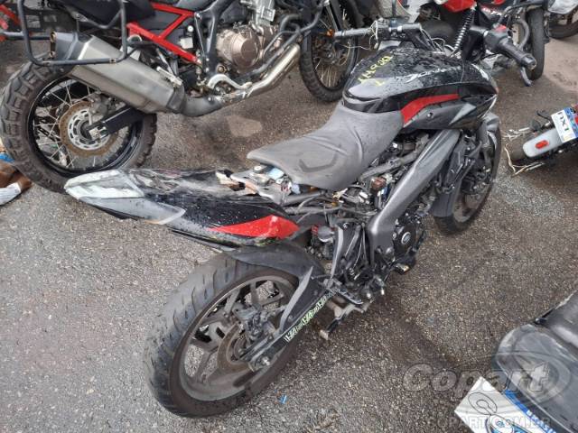 2025 BAJAJ DOMINAR 