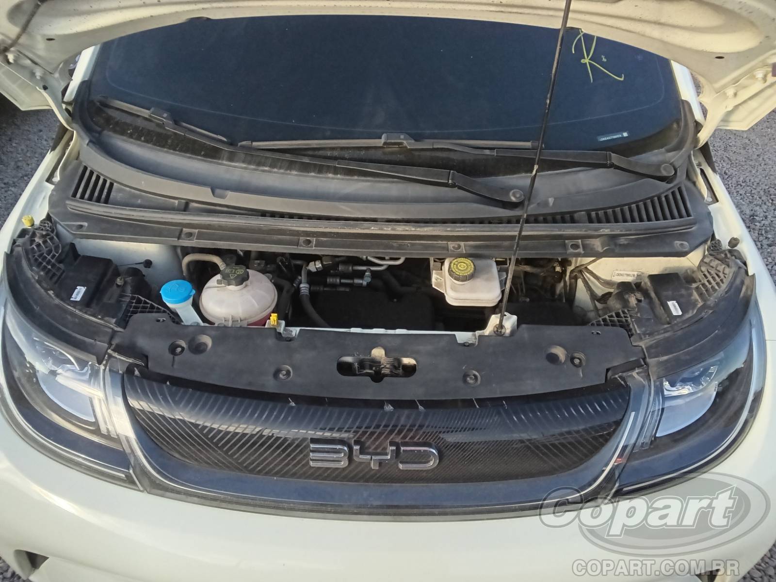 2026 BYD DOLPHIN — foto 7 de 10