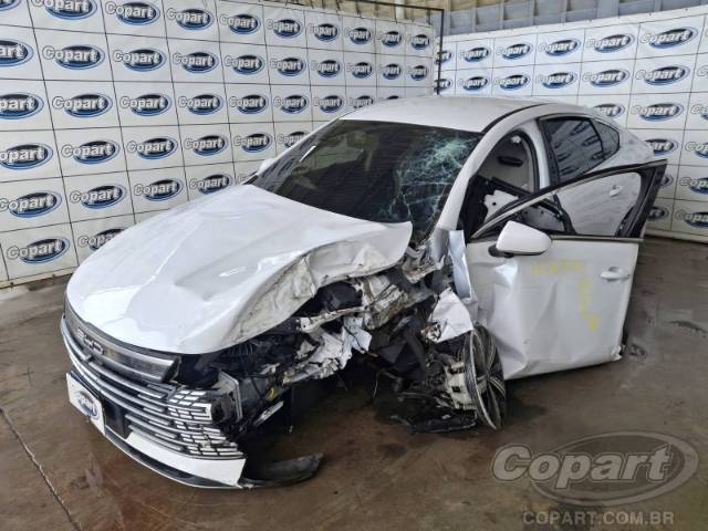 2025 BYD KING 