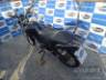 2024 HONDA CG 160 