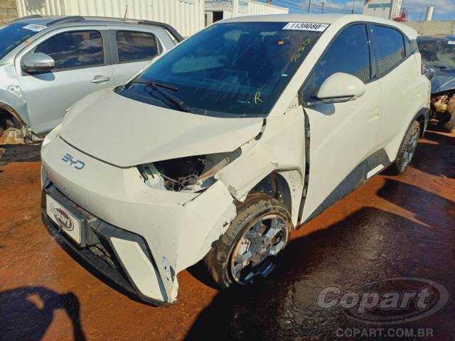 2026 BYD DOLPHIN MINI 