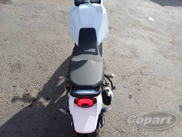 2024 DUCATI DESERTX 