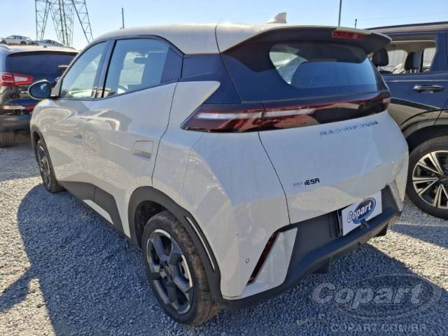 2025 BYD DOLPHIN MINI 