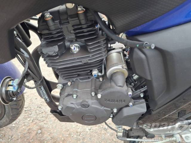 2025 YAMAHA FZ25 FAZER 