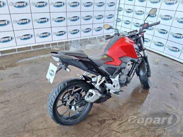 2023 HONDA CB 300F 