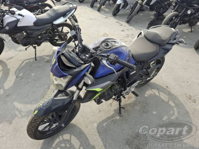 2024 YAMAHA FZ25 FAZER 