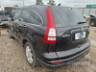 2010 HONDA CR-V 