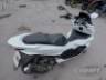 2024 HONDA PCX 