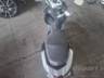 2021 HONDA ELITE 