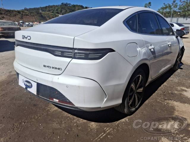 2025 BYD KING 