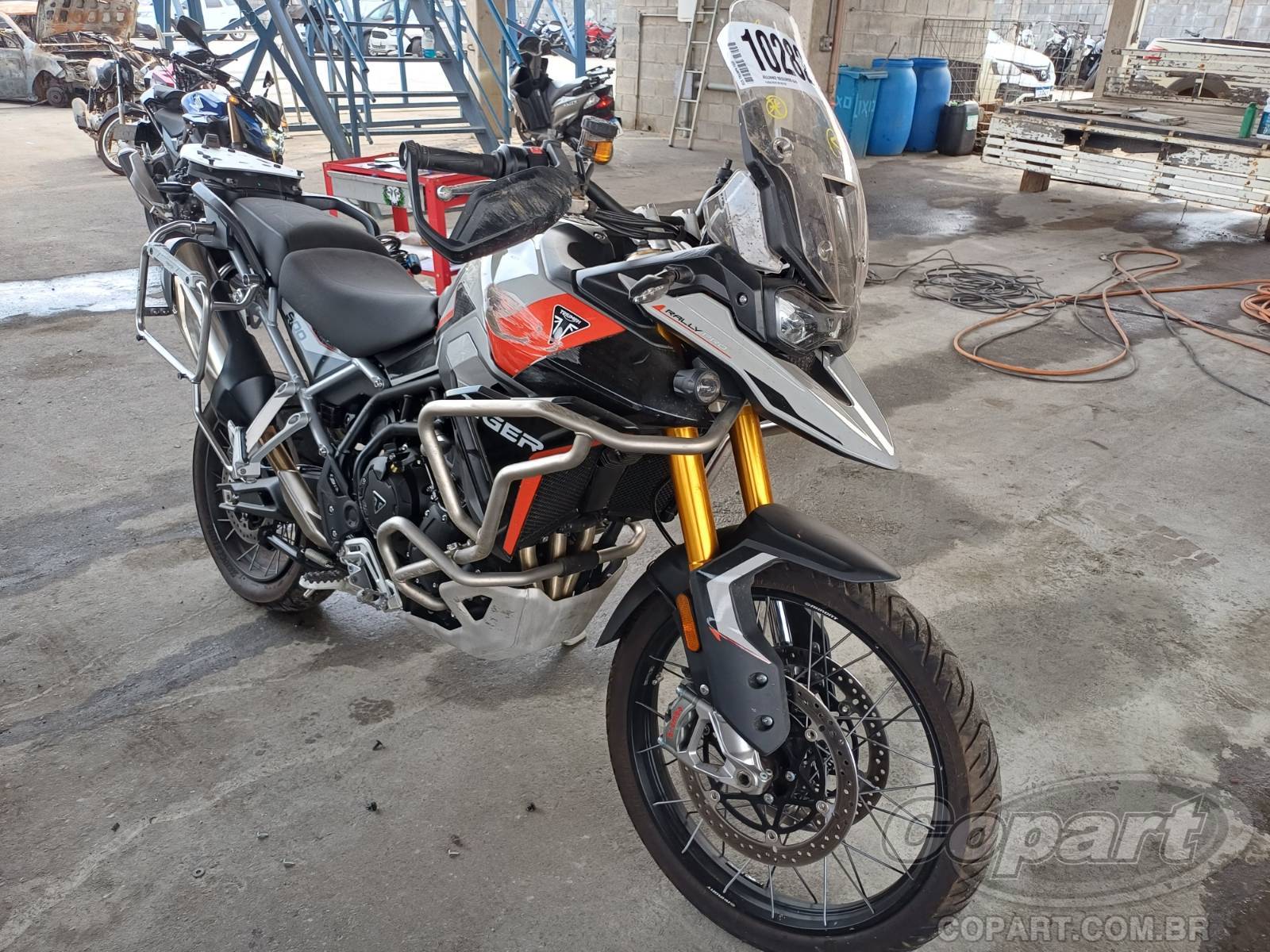 TRIUMPH TIGER 2025