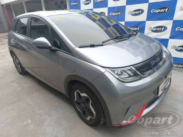 2024 BYD DOLPHIN 