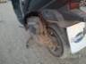 2024 HONDA ELITE 